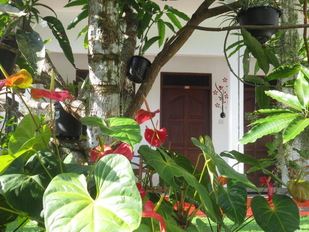Jungle Holiday Home Hikkaduwa Bagian luar foto